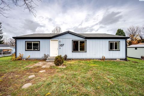 Photo of 107 N B St, Albion, WA 99102 (MLS # 288895)