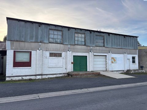 Photo of 535 SE Riverview St, Pullman, WA 99163 (MLS # 289572)