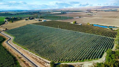 Photo of 1870 Phipps Rd, Sunnyside, WA 98944 (MLS # 291580)