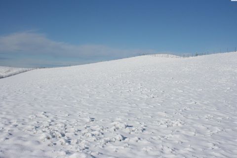 Photo of 1283 Kitzmiller, Pullman, WA 99163 (MLS # 290594)