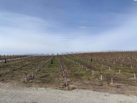 Photo of 630 Moore Rd, Pasco, WA 99301 (MLS # 290902)