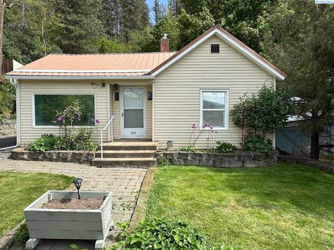 Photo of 910 N Park St, Colfax, WA 99111 (MLS # 293154)