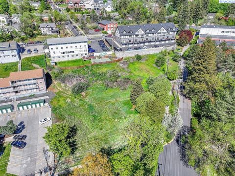 Photo of TBD NE Gray Lane, Pullman, WA 99163 (MLS # 293047)