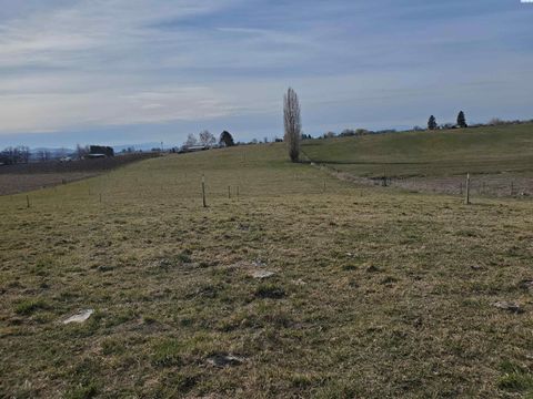 Photo of 1501 Dekker Rd, Outlook, WA 98938 (MLS # 289218)