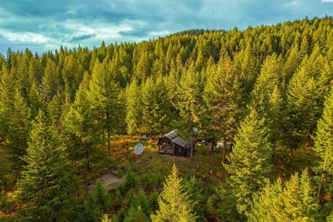 Photo of 2518 A Bodie Mountain Road, Colville, WA 99114 (MLS # 294538)