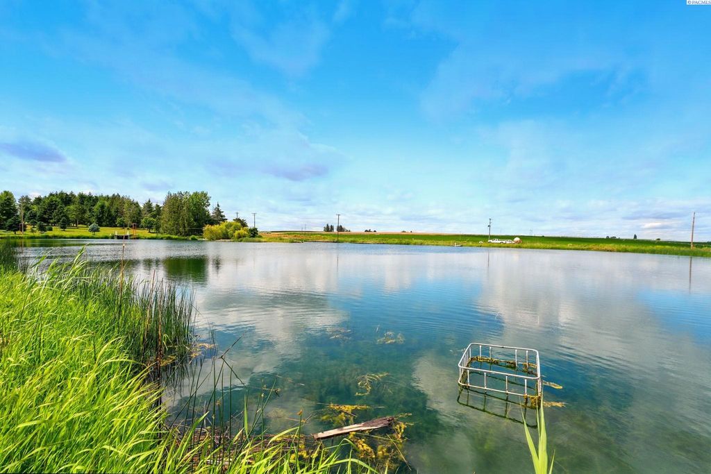 Photo of 4902 Fir Rd, Eltopia, WA 99330 (MLS # 289318)