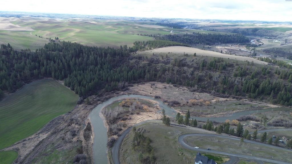 Photo of 33 Red Tail Ridge, Colfax, WA 99111 (MLS # 291137)