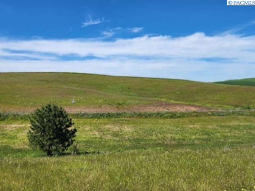 Photo of Lot 9 Red Tail Ridge, Colfax, WA 99111 (MLS # 283942)