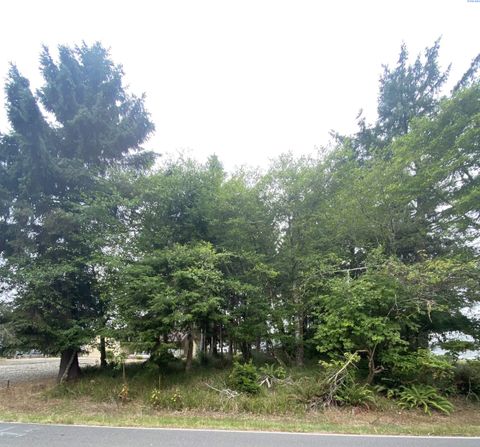Photo of 135 Duck Lake Dr Ne Dr, Ocean Shores, WA 98569 (MLS # 294340)