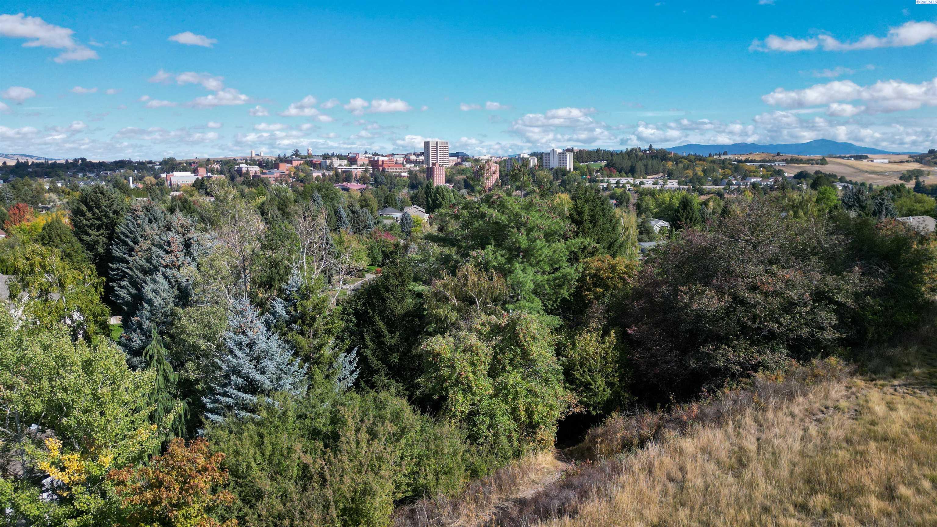 Photo 1 of 23 — 620 SE Crestview Dr, Pullman, WA 99163