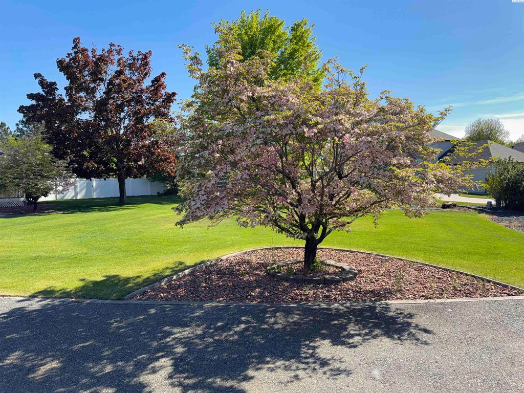 Photo of 3003 Mt. Stuart Ct, West Richland, WA 99353 (MLS # 292629)