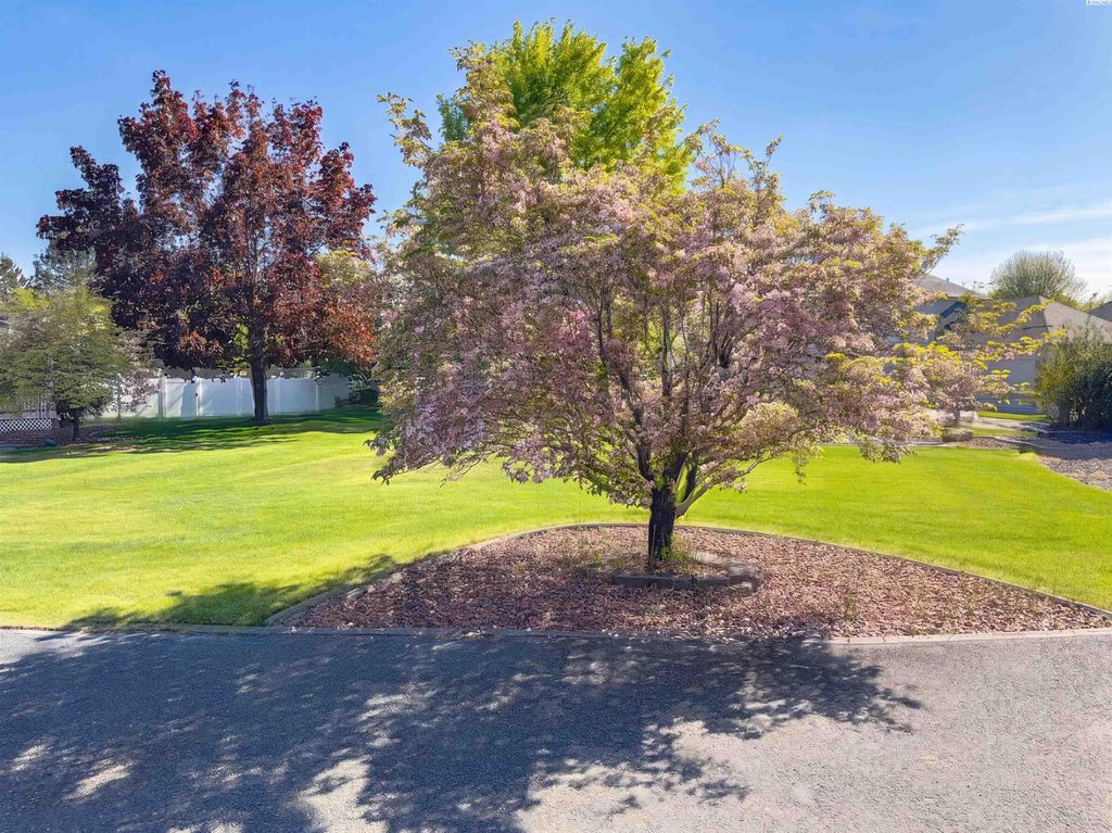 Photo of 3003 Mt. Stuart Ct, West Richland, WA 99353 (MLS # 292629)