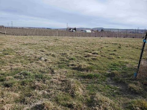 Photo of NKN Dekker Rd, Outlook, WA 98938 (MLS # 289217)