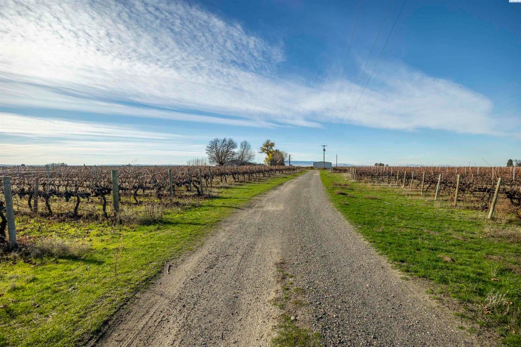 Photo of 11201 Taylor Flats Road, Pasco, WA 99301 (MLS # 289100)