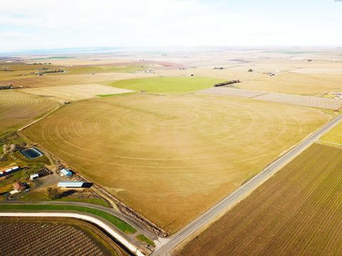 Photo of 150 Fern Road, Othello, WA 99344 (MLS # 290240)