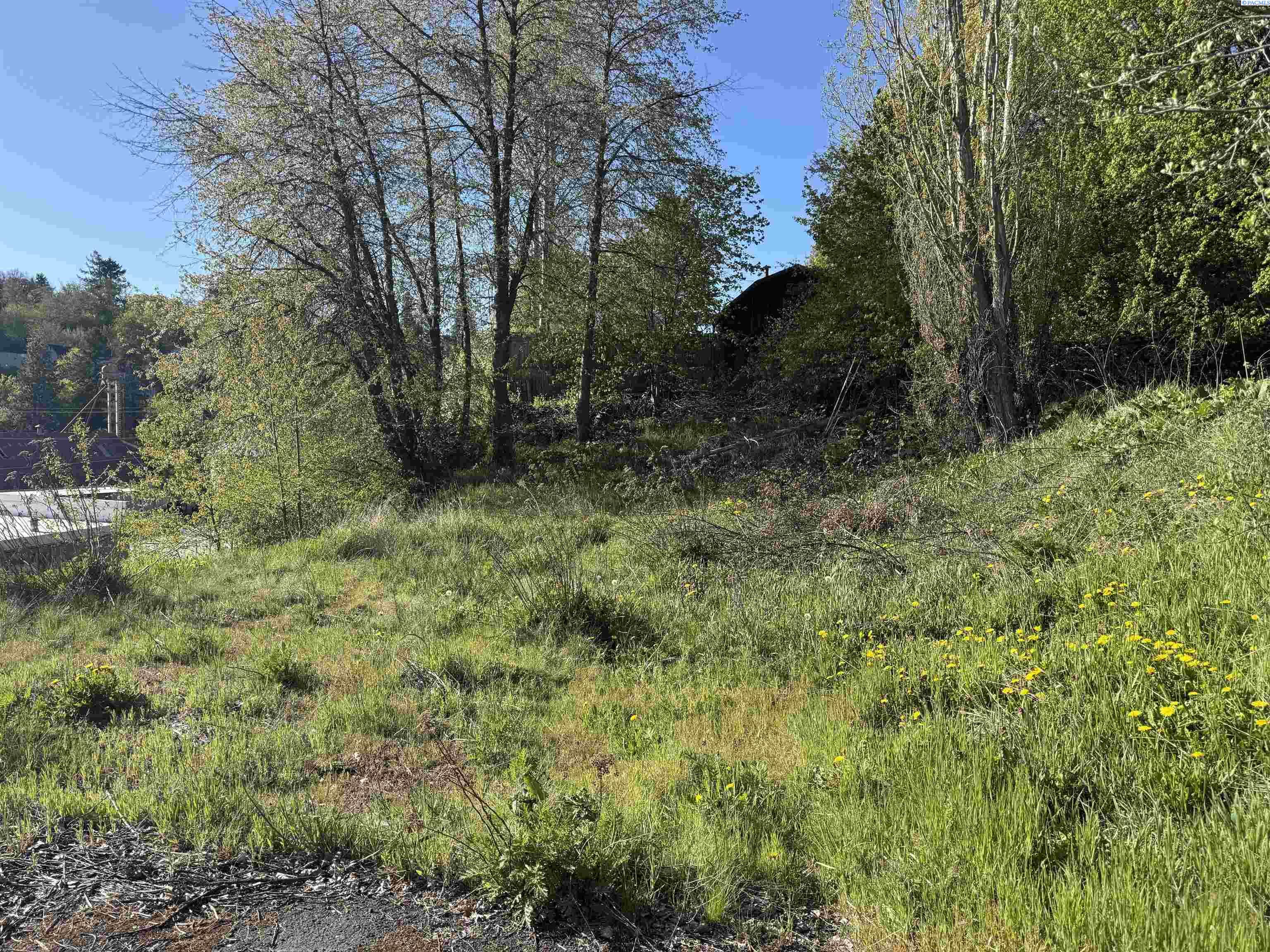 Photo 1 of 6 — 129 NW True, Pullman, WA 99163
