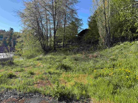 Photo of 129 NW True, Pullman, WA 99163 (MLS # 292549)