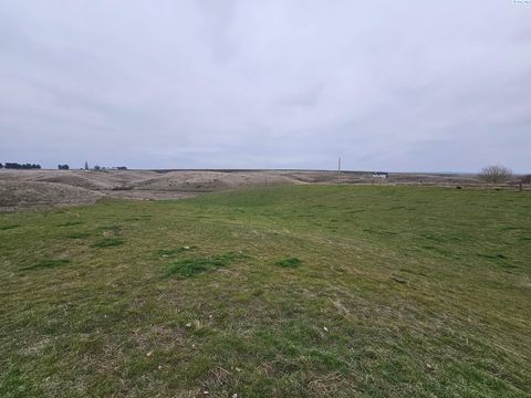 Photo of 131 Villifan Rd, Pasco, WA 99301 (MLS # 290034)