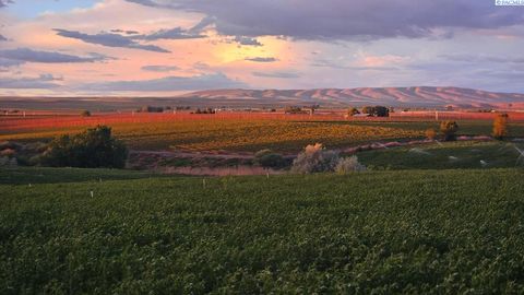 Photo of 125498 W Mccreadie Rd, Prosser, WA 99350 (MLS # 291376)