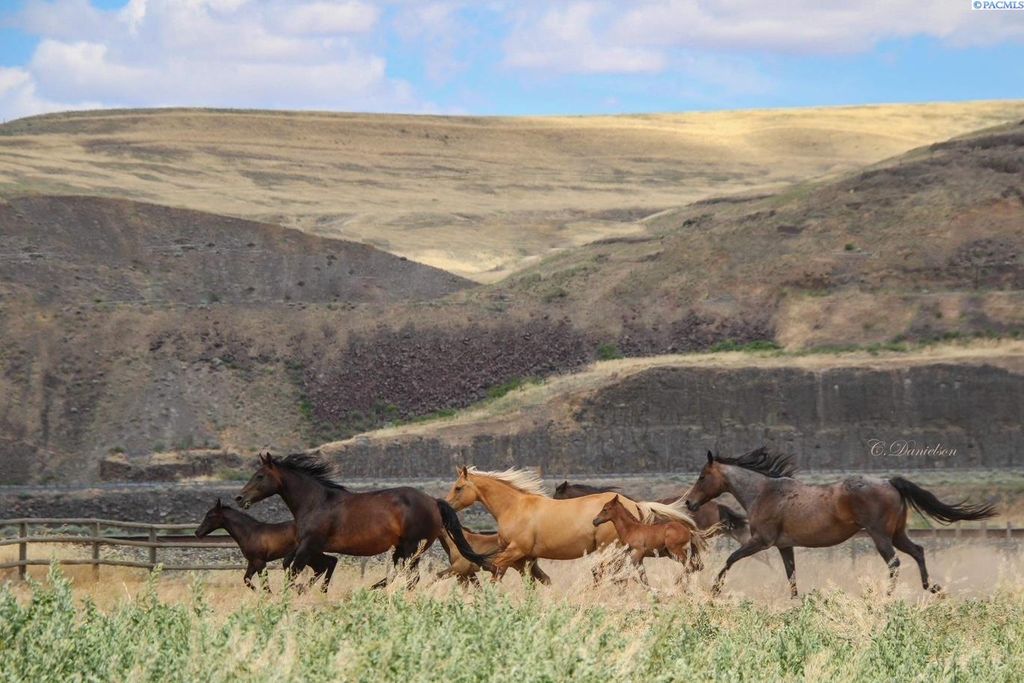 Photo of 821 Old Sr 26, Hay/Hooper, WA 99333 (MLS # 281243)