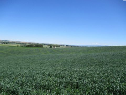 Photo of 4285 Detour Road, Touchet, WA 99360 (MLS # 288994)