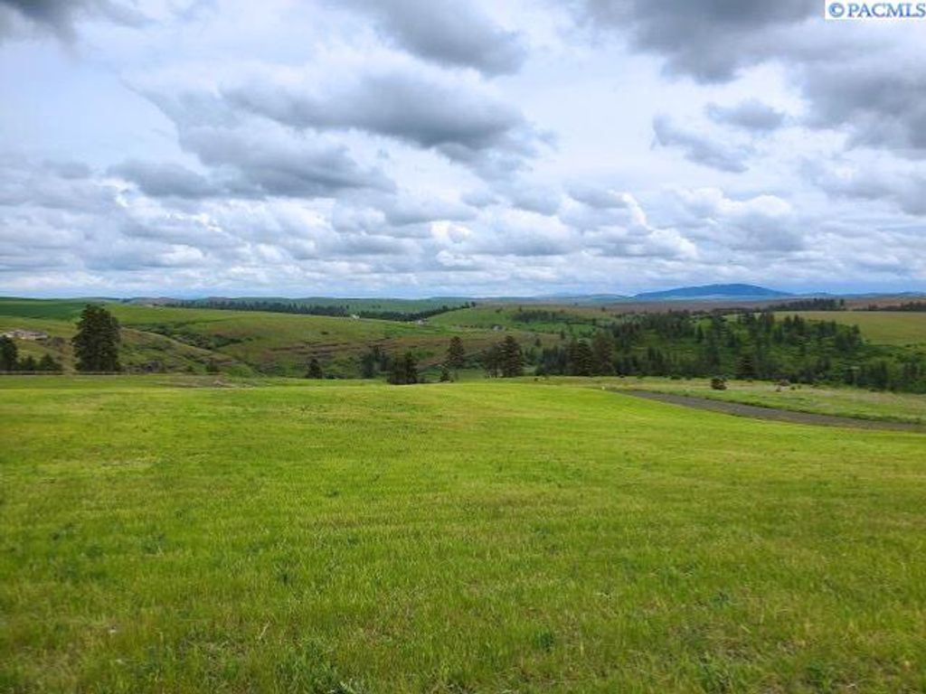 Photo of Lot 9 Red Tail Ridge, Colfax, WA 99111 (MLS # 290901)