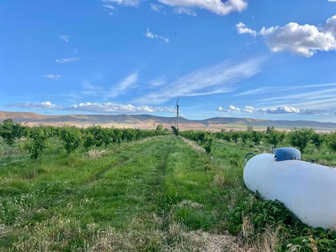 Photo of TBD Robinson Rd, Grandview, WA 98930 (MLS # 293225)