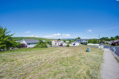 Photo of 450 NW Terre View Dr, Pullman, WA 99163 (MLS # 290480)