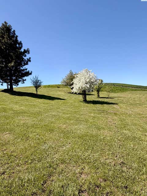 Photo of 107 S 10th, Garfield, WA 99130 (MLS # 293698)