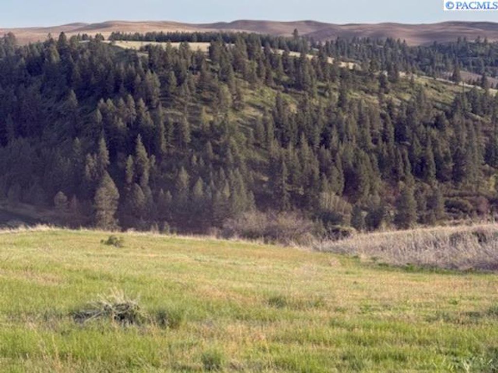 Photo of Lot 5 Red Tail Ridge, Colfax, WA 99111 (MLS # 283707)