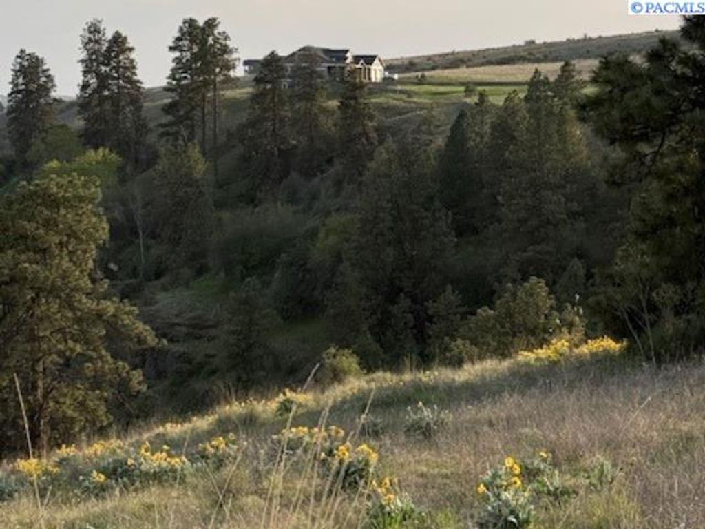 Photo of Lot 5 Red Tail Ridge, Colfax, WA 99111 (MLS # 283707)