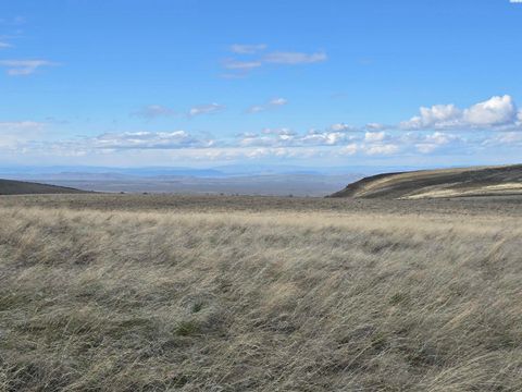 Photo of 15281 Mabton- Bickleton Rd, Mabton, WA 98935 (MLS # 292034)