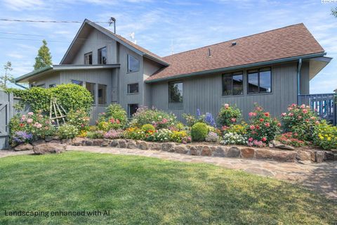 Photo of 541 Basalt Springs Way, Naches, WA 98937 (MLS # 291788)