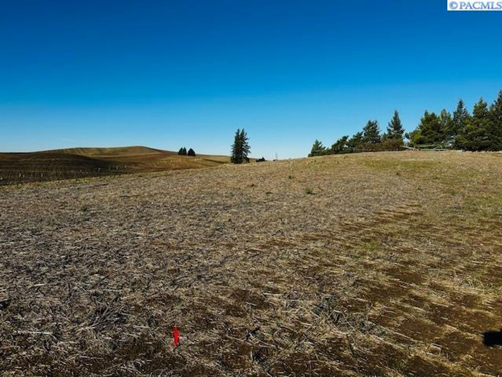 Photo of TBD 10th St. Land Only, Garfield, WA 99130 (MLS # 289994)