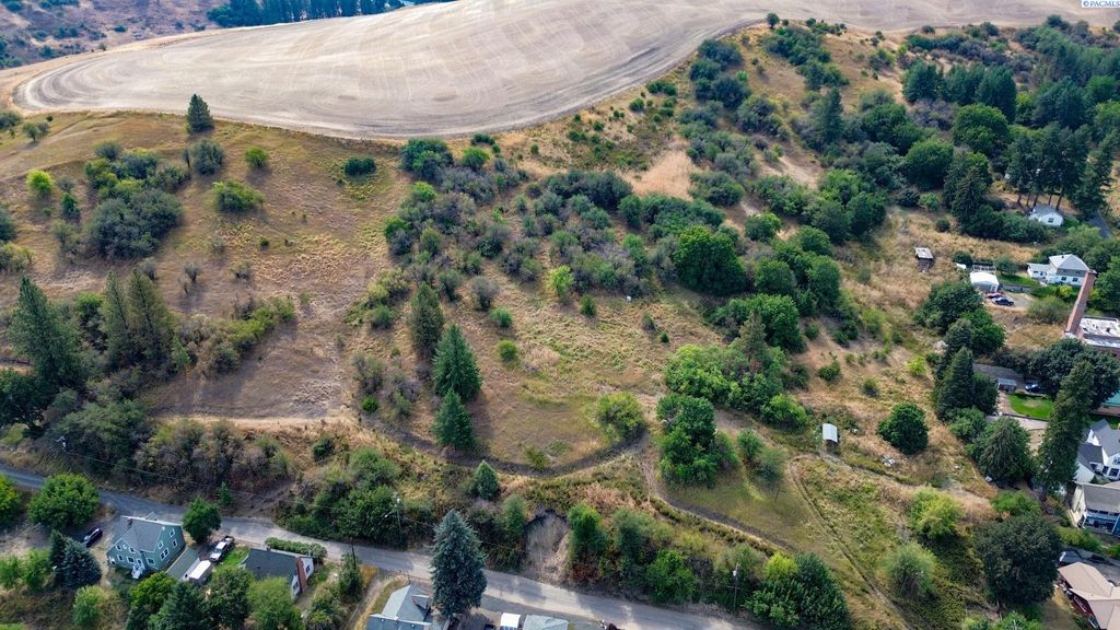 Photo of TBD Fairview, Colfax, WA 99111 (MLS # 287523)