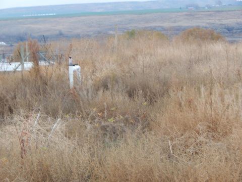 Photo of KNA Rebecca Rd, Eltopia, WA 99330 (MLS # 289602)