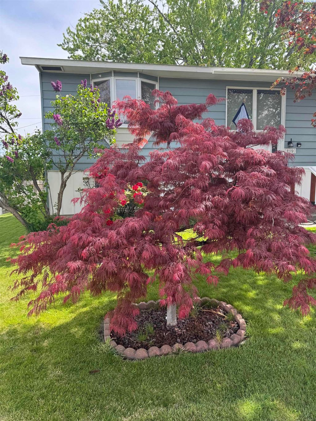 Photo of 219 S Olson St, Kennewick, WA 99336 (MLS # 292988)