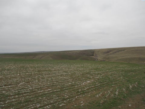 Photo of nka Rice Road, Kahlotus, WA 99335 (MLS # 294486)