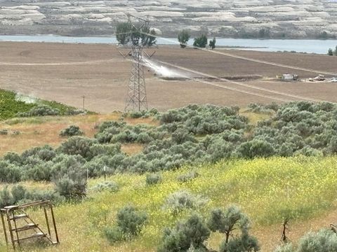 Photo of NKA Ringold Road, Eltopia, WA 99330 (MLS # 289320)