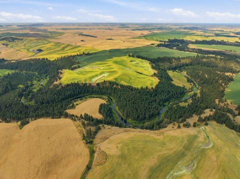 Photo of TBD Altergott Rd, Garfield, WA 99130 (MLS # 294963)