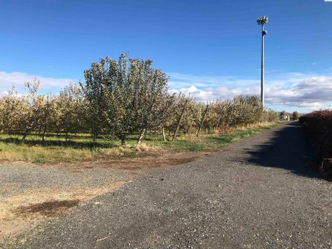 Photo of NKA Lateral B Road, Wapato, WA 98951 (MLS # 292143)