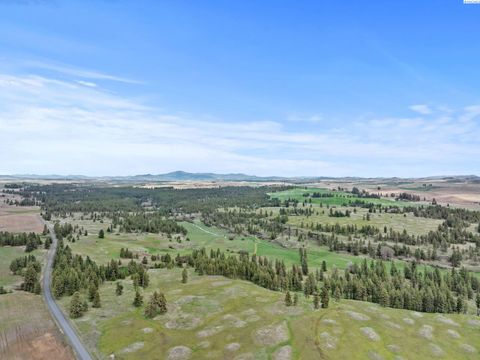 Photo of XXXXX Vacant Land, Rosalia, WA 99170 (MLS # 292372)