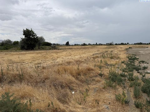 Photo of TBD Patricia Rd, Prosser, WA 99350 (MLS # 296871)