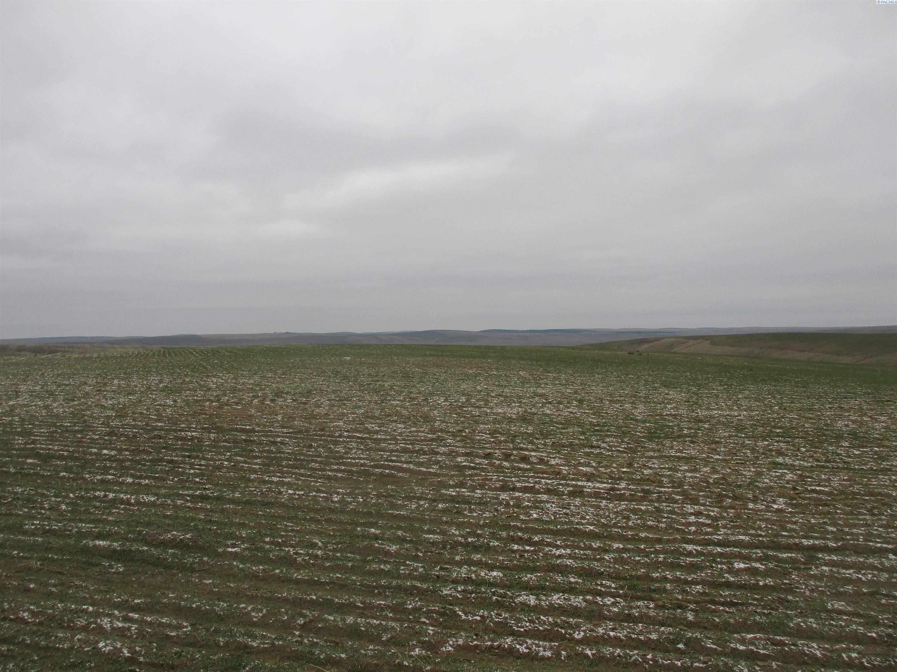 nka Rice Road
