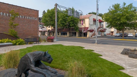 Photo of 139 N Grand Ave, Pullman, WA 99163 (MLS # 295388)