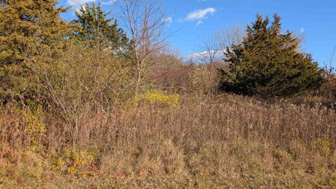 Photo of L18 Oak Road, Markesan, WI 53946 (MLS # 2012088)