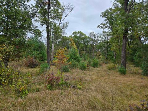 Tiny photo for 1228 15th Avenue, Arkdale, WI 54613 (MLS # 2010176)