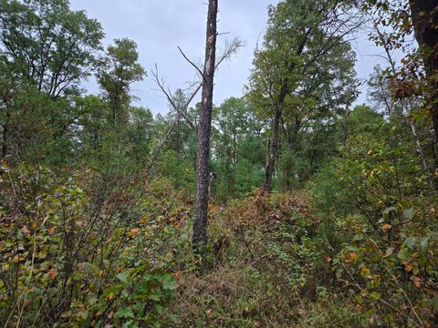 Tiny photo for 1228 15th Avenue, Arkdale, WI 54613 (MLS # 2010176)