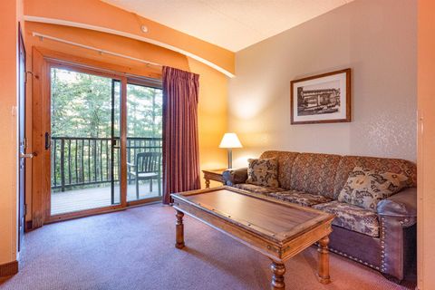 Tiny photo for 2411 River Road 2251 #2251, Wisconsin Dells, WI 53965 (MLS # 2010546)