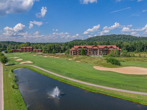 Tiny photo for 2411 River Road 2251 #2251, Wisconsin Dells, WI 53965 (MLS # 2010546)